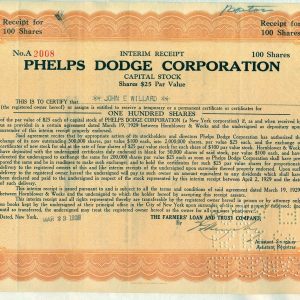 Phelps Dodge Corporation 100 shares